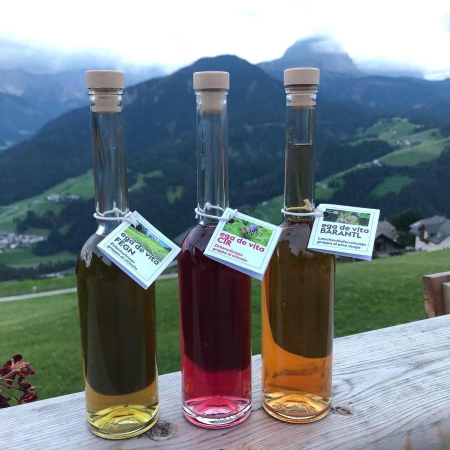 Alpinus Agriturism Leilighet San Martino in Badia Eksteriør bilde
