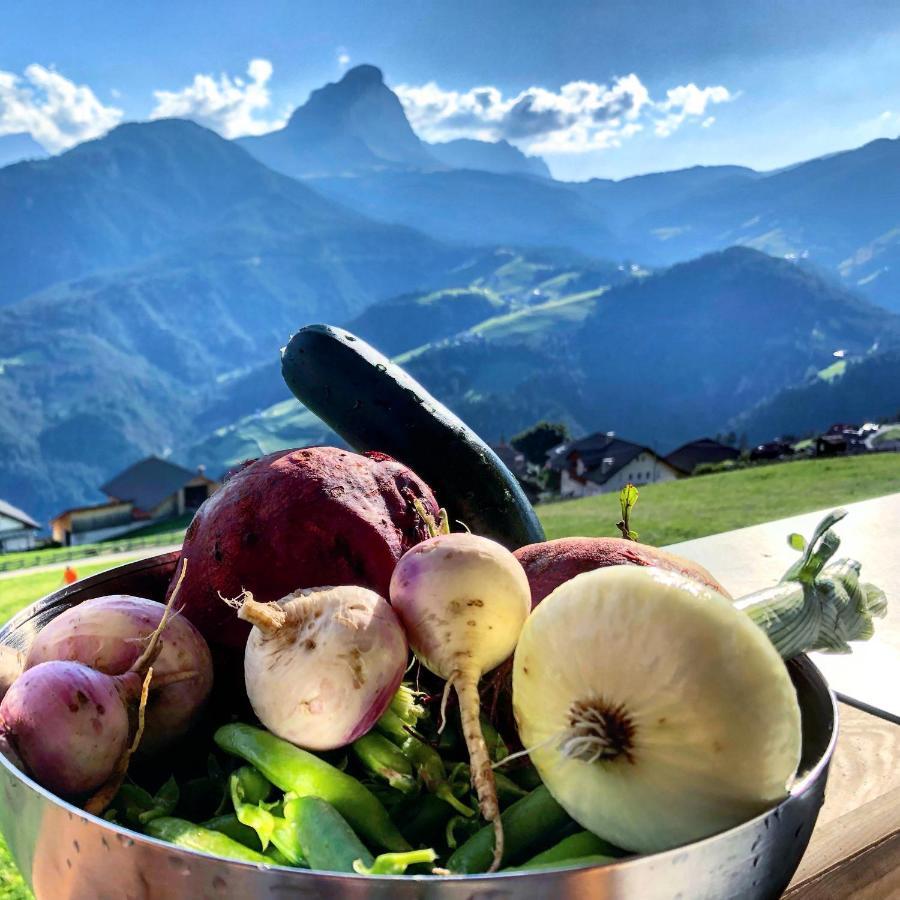 Alpinus Agriturism Leilighet San Martino in Badia Eksteriør bilde