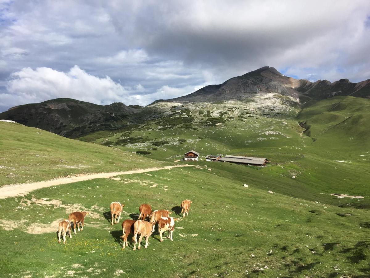 Alpinus Agriturism Leilighet San Martino in Badia Eksteriør bilde